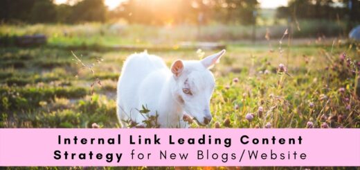 Internal Link Leading Content Strategy for New Blogs/Website