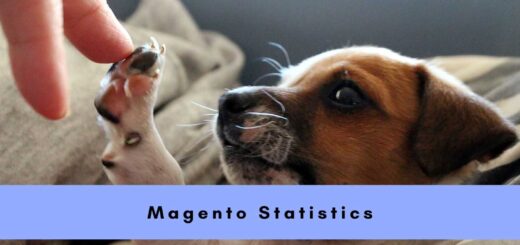 Magento Statistics